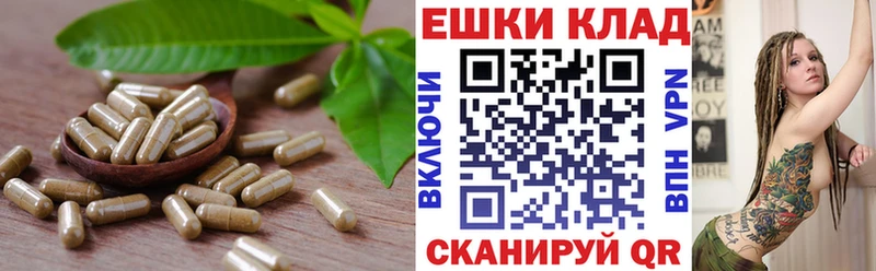 даркнет сайт  кракен tor  ЭКСТАЗИ ешки  Зеленогорск 