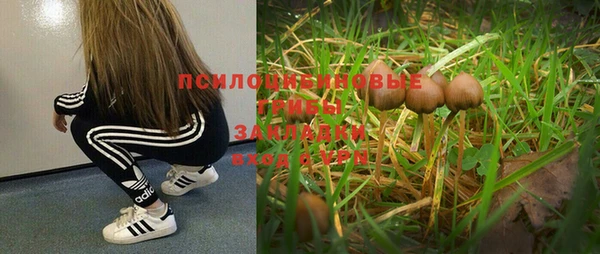 винт Абинск