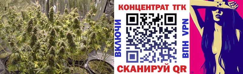 ТГК вейп Зеленогорск